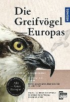 bokomslag Greifvögel Europas