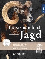 bokomslag Praxishandbuch Jagd