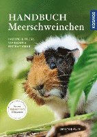Christine Wilde - Handbuch Meerschweinchen, Häftad