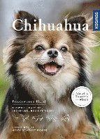 bokomslag Chihuahua