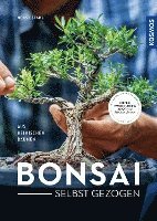 bokomslag Bonsai selbst gezogen