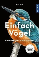 bokomslag Einfach Vögel