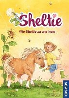 bokomslag Sheltie - Wie Sheltie zu uns kam