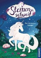 Sternenschweif, 3, Der steinerne Spiegel 1