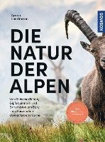 bokomslag Die Natur der Alpen