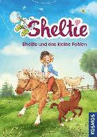 bokomslag Clover, P: Sheltie - Sheltie und das kleine Fohlen