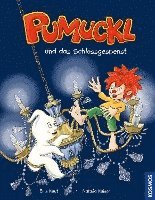 bokomslag Pumuckl und das Schlossgespenst