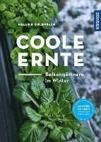 bokomslag Coole Ernte