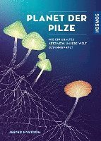 bokomslag Planet der Pilze