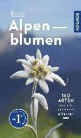 bokomslag Basic Alpenblumen