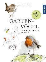 bokomslag Gartenvögel