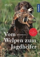 bokomslag Vom Welpen zum Jagdhelfer