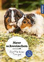 bokomslag Meerschweinchen