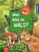 bokomslag Mein erster Naturführer, Was lebt im Wald?