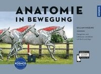 bokomslag Anatomie in Bewegung