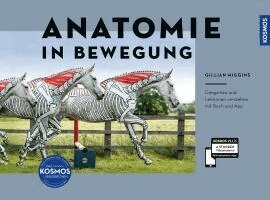 Gillian Higgins - Anatomie in Bewegung, Inbunden
