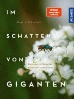 bokomslag Im Schatten von Giganten