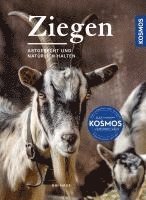 Ziegen 1