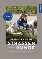 bokomslag Die geheime Welt der Straßenhunde