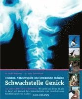 Schwachstelle Genick 1