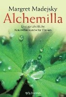 Alchemilla