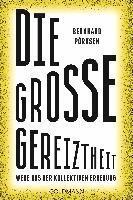 Bernhard Pörksen - Die große Gereiztheit, Häftad