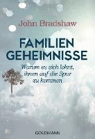 bokomslag Familiengeheimnisse