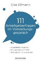 bokomslag 111 Arbeitgeberfragen im Vorstellungsgespräch