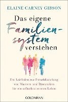 bokomslag Das eigene Familiensystem verstehen