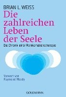 bokomslag Die zahlreichen Leben der Seele