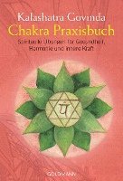 bokomslag Chakra Praxisbuch