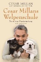 bokomslag Cesar Millans Welpenschule