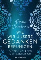 Pema Chödrön - Wie wir unsere Gedanken beruhigen, Häftad