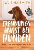 bokomslag Trennungsangst bei Hunden