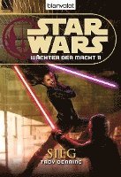 bokomslag Star Wars. Wächter der Macht 09. Sieg