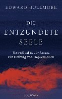 Die entzündete Seele 1