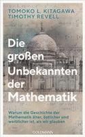 bokomslag Die großen Unbekannten der Mathematik