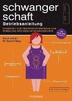 Sarah Jordan, David Ufberg - Schwangerschaft - Betriebsanleitung, Häftad
