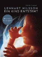 bokomslag Ein Kind entsteht