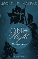 bokomslag One Night - Das Geheimnis