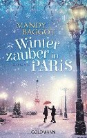 bokomslag Winterzauber in Paris