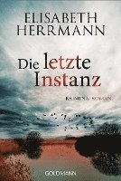 bokomslag Die letzte Instanz