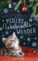 bokomslag Mollys Weihnachtswunder