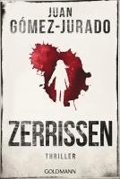 bokomslag Zerrissen