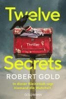 bokomslag Twelve Secrets