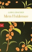 bokomslag Mein Hiddensee