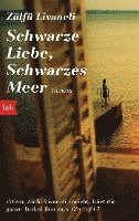 bokomslag Schwarze Liebe, schwarzes Meer