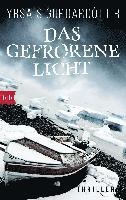 bokomslag Das gefrorene Licht