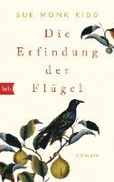 bokomslag Die Erfindung der Flügel