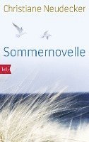 bokomslag Sommernovelle